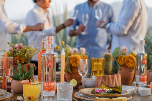 Types of Tequila: Guide on Different Tequilas