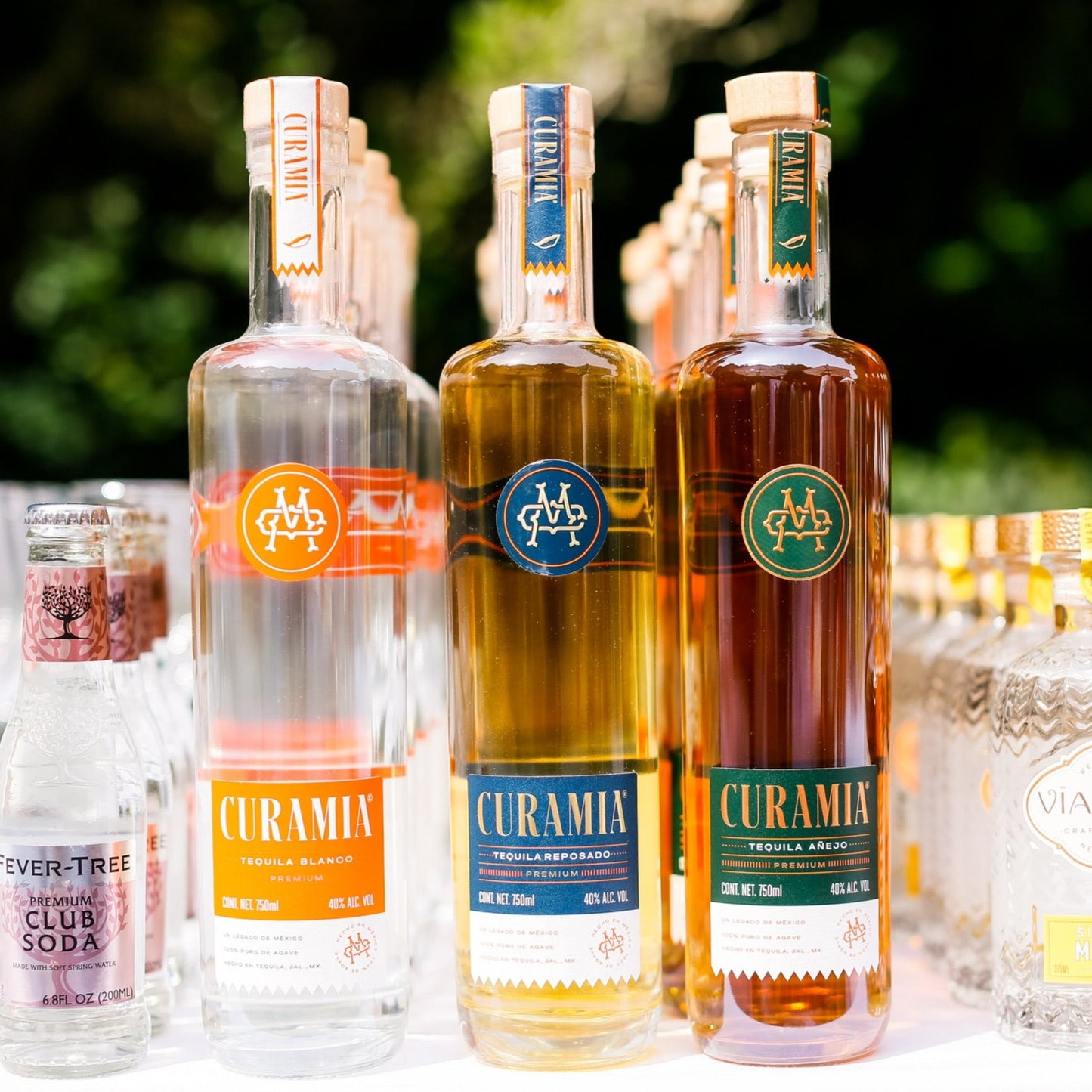 Curamia Tasting Kit