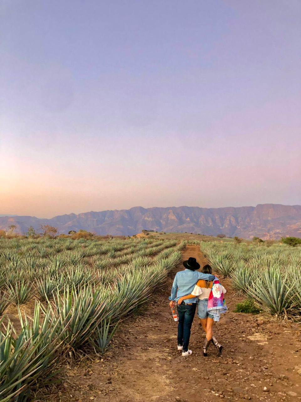 Is Tequila an Upper? Curamia Tequila